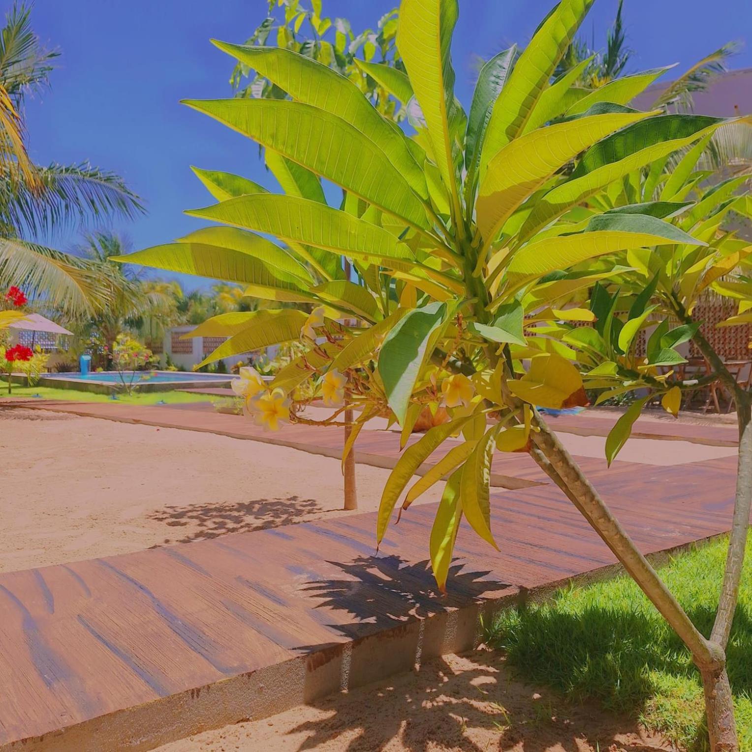 Condominio Shalom Beach Каноа-Кебрада Экстерьер фото